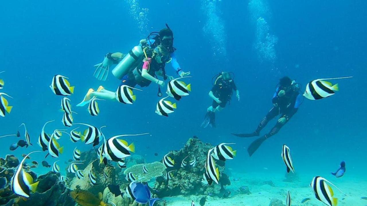 Sunia Loka Bungalows&Dive Center Pemuteran  Bagian luar foto