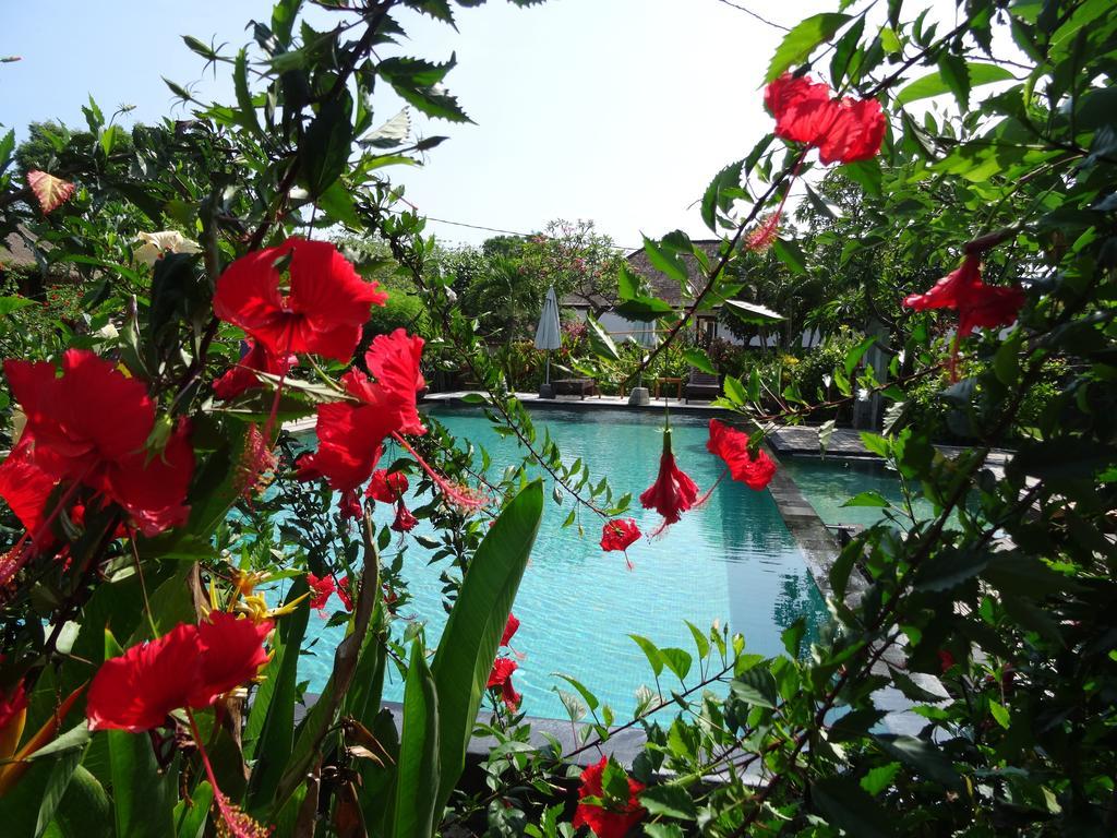 Sunia Loka Bungalows&Dive Center Pemuteran  Bagian luar foto