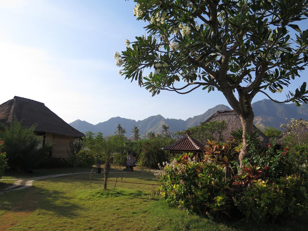 Sunia Loka Bungalows&Dive Center Pemuteran  Bagian luar foto